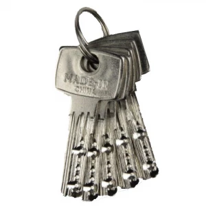 Cadenas pour  fermeture boitier de sécurité + clé 
